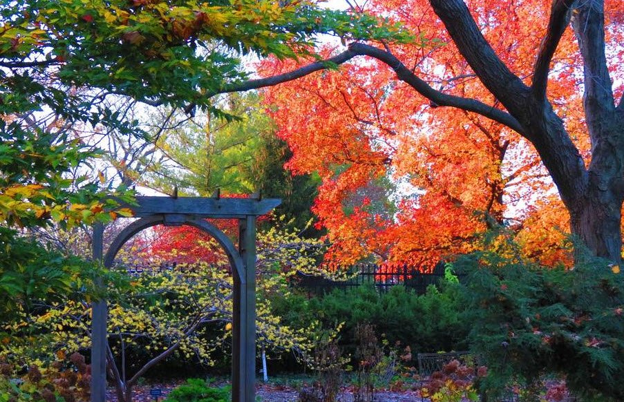 Luthy Botanical Garden, United States